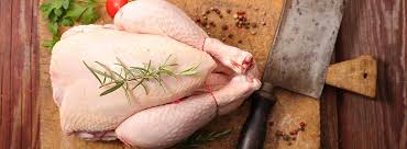 Pollo