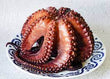 Pulpo Nacional