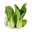 Pak Choi