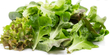 Mesclun